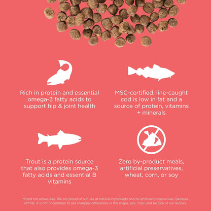 Go! Solutions Carnivore, Grain-Free, Protein Rich Dry Cat Food, Salmon and Cod Recipe, 3 lb Bag