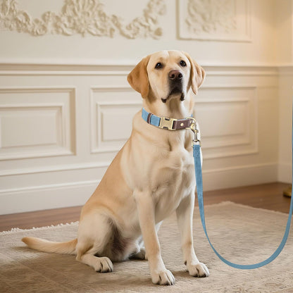 Didog Soft PU Leather Dog Collar for Large Dogs,Classic Adjustable Dog Collars with Quick Release Metal Buckle,Easy Clean and Comfortable with Nylon Lining,Denim Blue,L Neck 15-23"