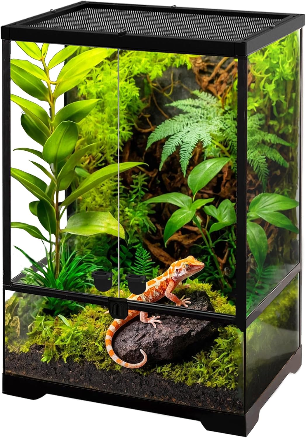 10 Gallon Professional Glass Terrarium 12"x12"x18" Durable Reptile Habitat Tank with Heat Resistant Aluminum Alloy Frame, Dual Front Swinging Doors for no Jam by Sand and Other Debris - Pawvie