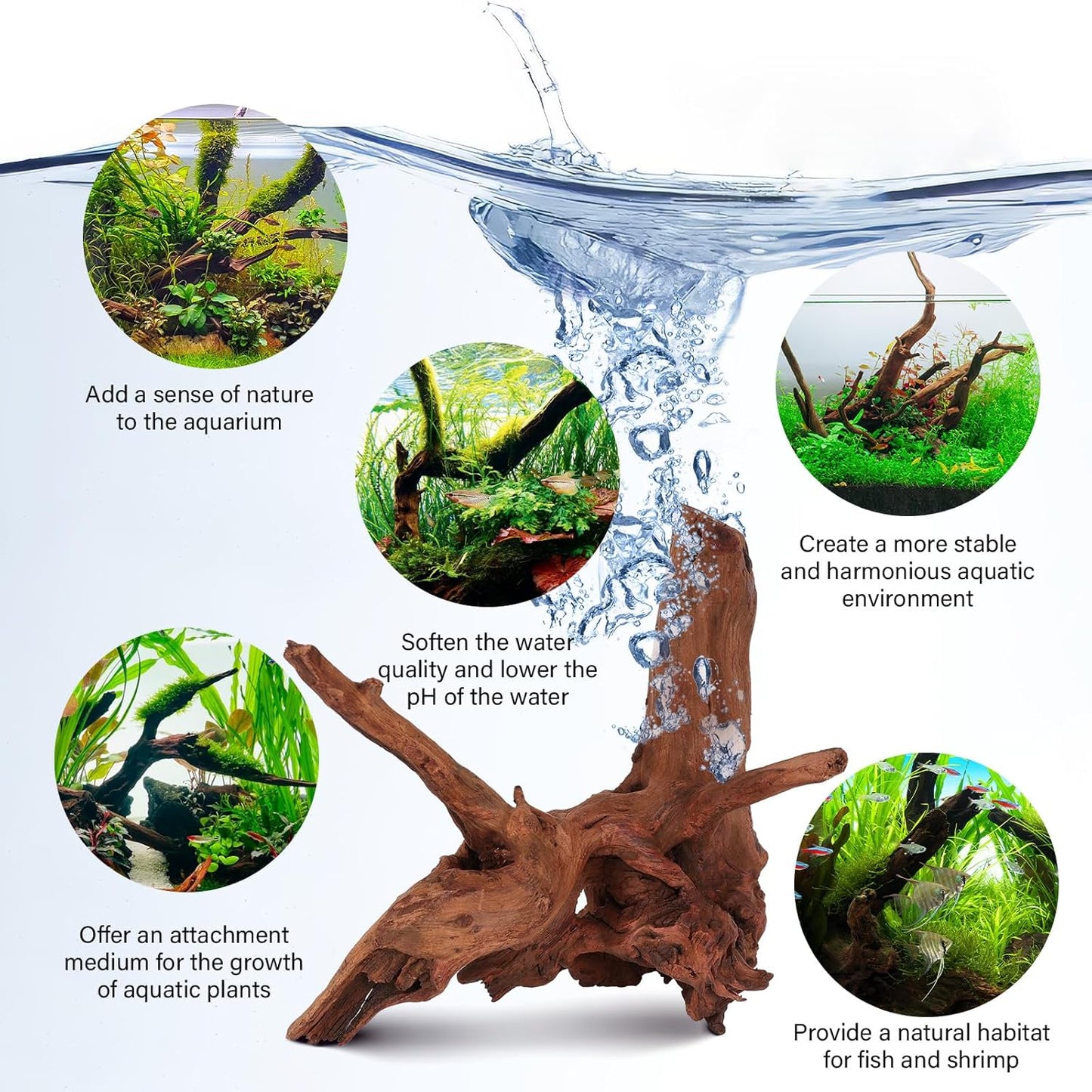 Driftwood for Aquarium Natural Aquarium Wood for Aquascaping Fish Tank Decorations Reptile Tank Decor (Natural Driftwood 6-10" (Pack of 3)+Protein Cotton)