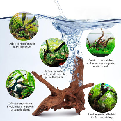 Driftwood for Aquarium Natural Aquarium Wood for Aquascaping Fish Tank Decorations Reptile Tank Decor (Natural Driftwood 12-16" 1 Pack+Protein Cotton)