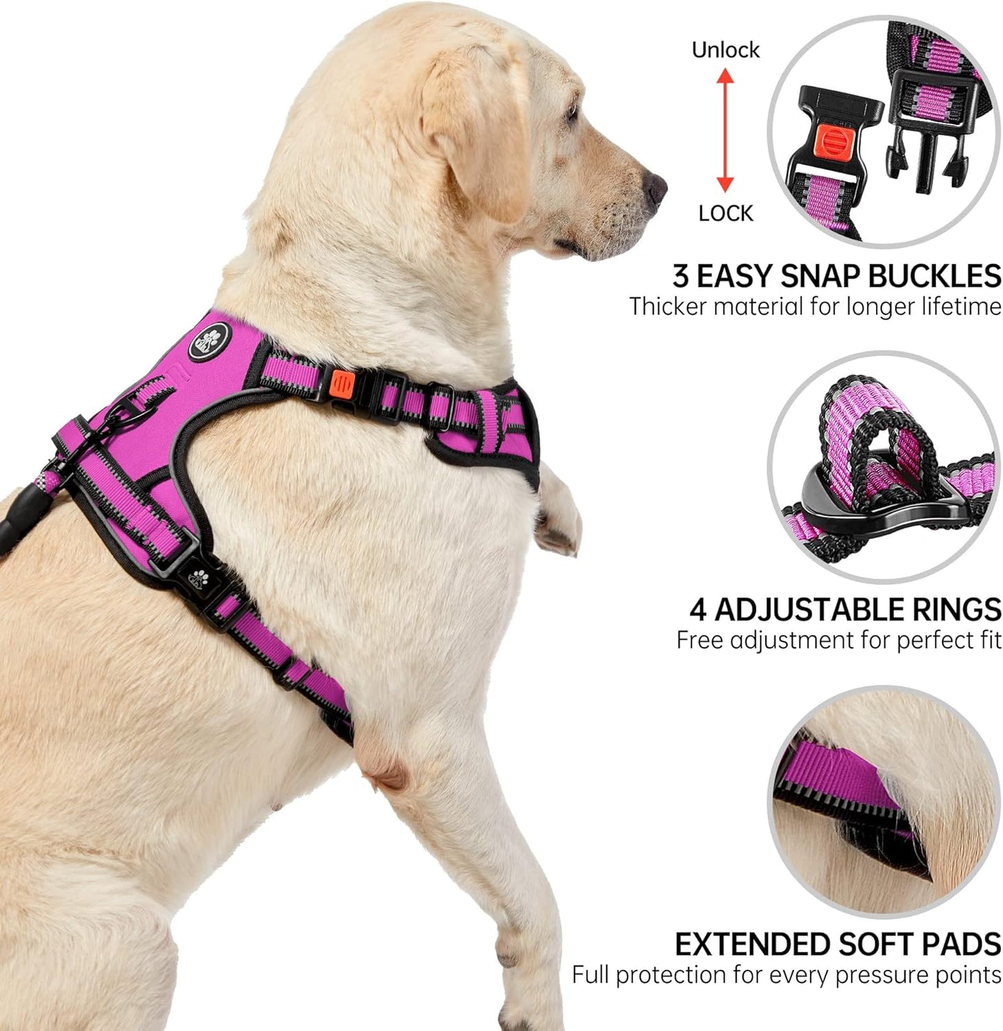 NESTROAD No Pull Dog Harness,Adjustable Oxford Dog Vest Harness with Leash,Reflective No-Choke Pet Harness with Easy Control Soft Handle for Small Dogs(Small,Fuchsia Pink)