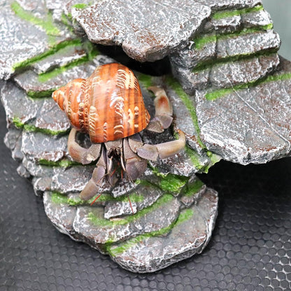 Hermit Crab Hideout, Resin Simulation Stone Reptile Cave Hideout, Hermit Crab Climbing Toys, Terrarium Habitat Decor for Lizard Spider Aquarium Fish Gecko Bearded Dragon