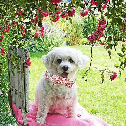 Elegant little tail Dog Collar, Pink Rose Print Pet Collar Summer Dog Collar Durable Metal Buckle Dog Collars Cotton Pet Adjustable Dog Collars for X-Small Dogs