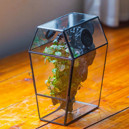 NCYP Gothic Glass Enclosure for Jumping Spider, Snails, Insects - Front Opening Door Geometric Cactus Plants Terrarium with Vent Holes, Indoor Tabletop Coffin Shape Decor, Black (Terrarium Only)