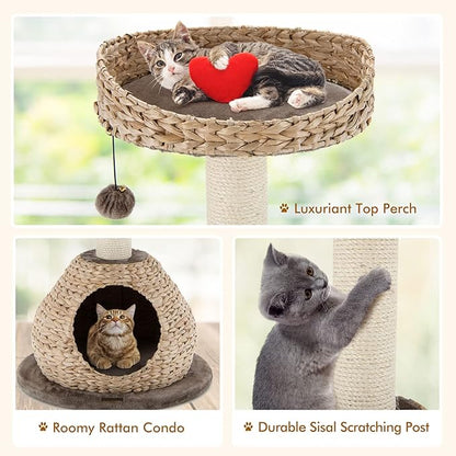 PETSITE Modern Cat Tree Tower, Paper Rope Natural Bowl Shaped with Perch, Scratching Post, Rattan Cat Activity Tree for Kittens, 28" Tall
