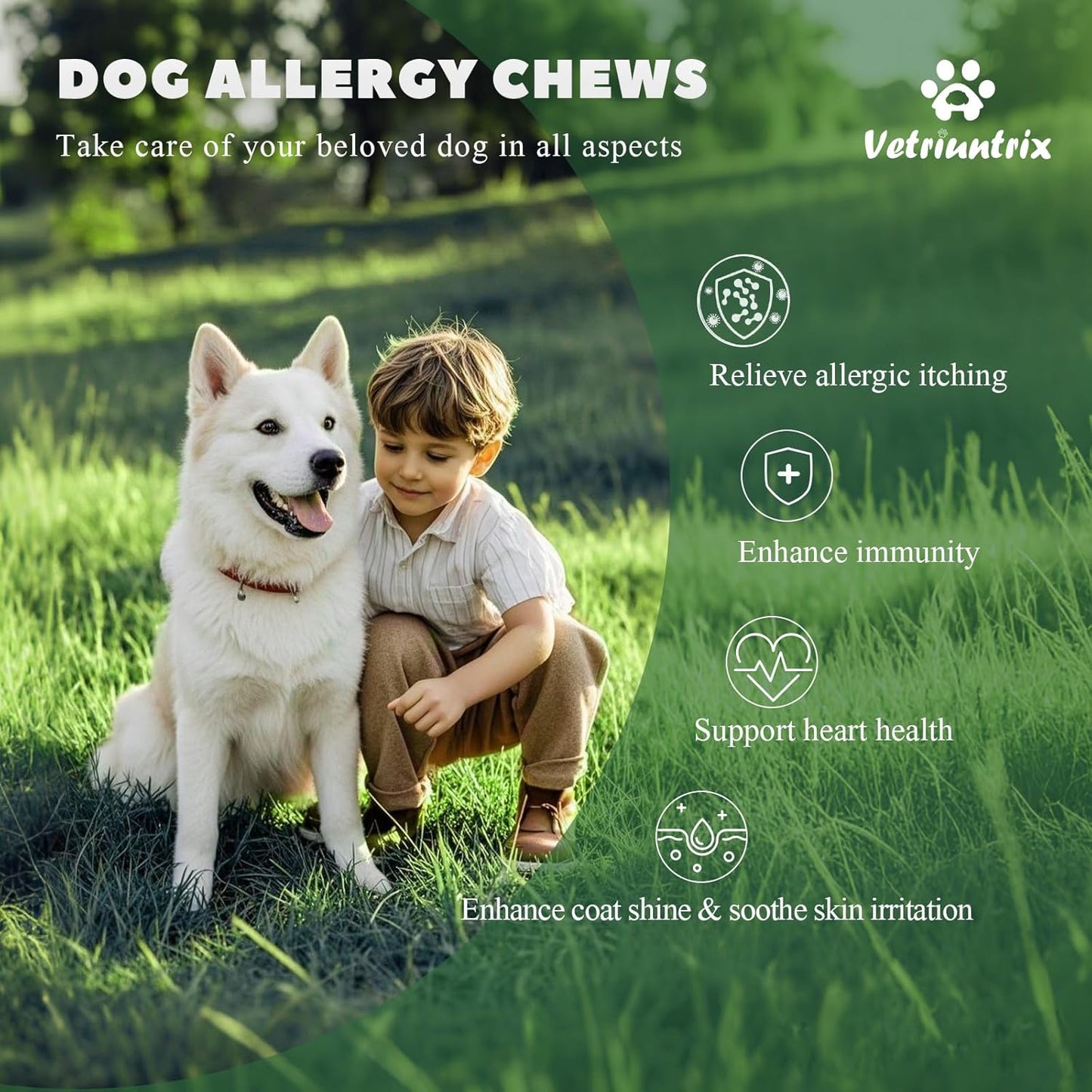 Dog Allergy Chews, Dogs Allergy Relief Chews for Paw Licking Itchy Skin Coat Supplement, Probiotics for Dogs with Colostrum Omega-3 Astragalus Immune Supplement-120ct