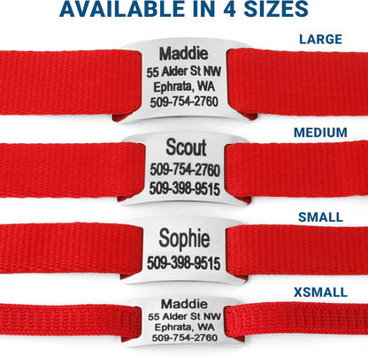 GoTags Personalized Dog Collar with Nameplate, Adjustable Dog Collar with Custom Engraved Slide On Pet ID Tag in Stainless Steel, Silent, No Noise Dog Tag for Large Medium and Small (Red, X-Small)