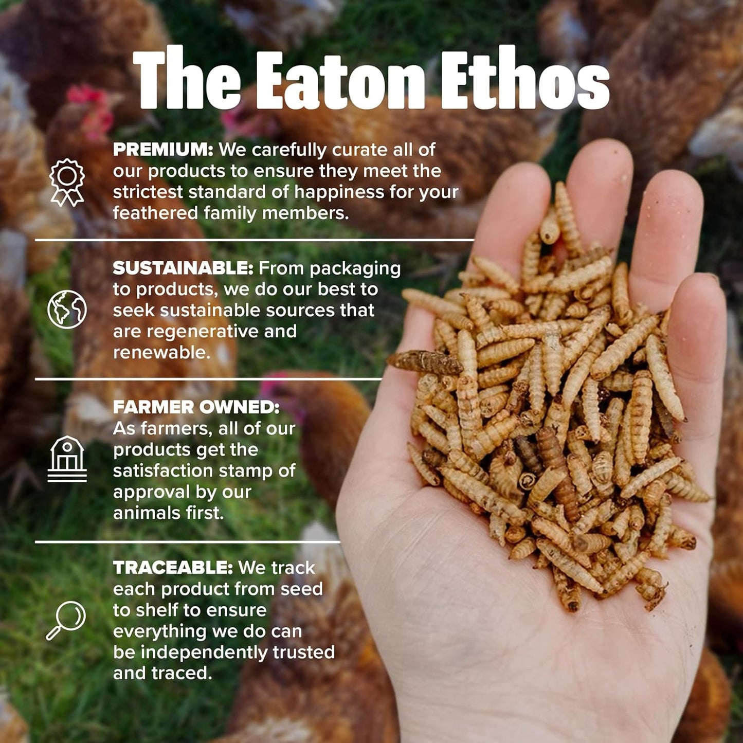 Eaton Pet and Pasture Premium Grubs, USA Grown Dried Black Soldier Fly Larvae, High Calcium Treat for Chickens, Ducks, Wild Birds (1 LB)
