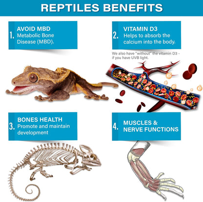 4oz All Reptile Calcium Powder with Vitamin D3, Phosphorus-Free, Ultrafine Powder, Pure Dust & Ready to Use for All Reptiles, Lizards & Amphibians Supplement. Made in The USA. Enjoy !