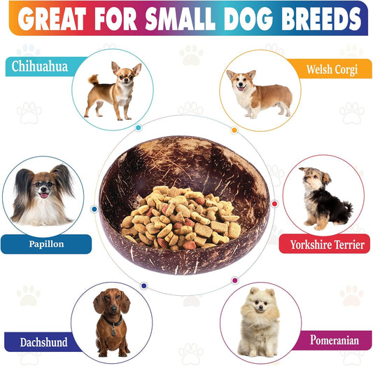 Raised Dog Bowl for Small Dog - Elevated, Ants-Off Stand, Real Coco Bowl, Height 5-inch, 33-oz Dish Capacity - Coconut/Bamboo Natural Calming Effect
