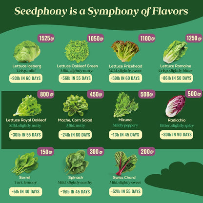 23 Lettuce & Salad Greens Seeds Variety Pack - 25,000+ Non-GMO Heirloom Greens Seeds for Planting Lettuce Indoor & Outdoor: Arugula, Mizuna, Kale, Spinach, Swiss Chard, Mache & More Lettuce Seeds