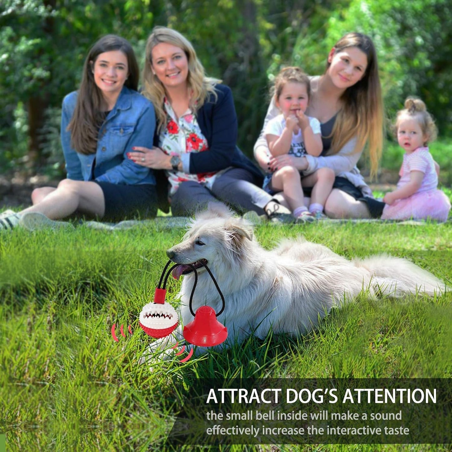 Dog Toys, Dog Chew Toys for Aggressive chewers,Rope with Suction Cup for Puppy Training Treats Teething for Boredom, Small Dog Puzzle Toy Treat Food Dispensing Ball (red)