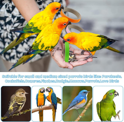 Jenaai 24 Pcs Chew Bagels Bird Toys for Parrots 2.4 Inch Wood Bird Chew Toys Colorful Cardboard Foraging Chew Foot Wooden Training Toy for Cockatiels Cockatoos Macaws and Similar Sized Pet Birds