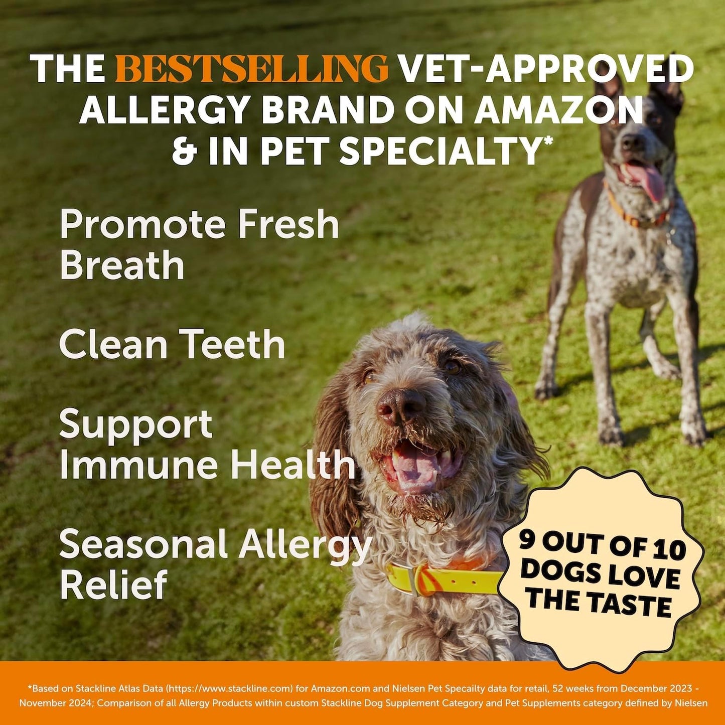 Pet Honesty Allergy Support Fresh Dental Sticks - Dental Treats for Dogs - Dental Dog Chews - Immune Health + Allergy Support for Dogs - Freshen Dog Breath, Reduce Plaque + Tartar - 30 Sticks