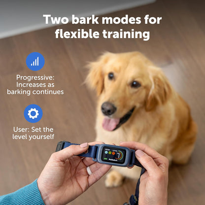 PetSafe Core Digital Dog Bark Collar – Waterproof Anti-Bark Training Device – Tone, Vibration and Static Correction – Illuminated Digital Display – for Small Medium or Large Dogs 8 lb. and Up