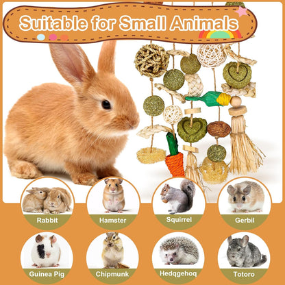 VESPRO Bunny Chew Toys, Rabbit Cage Hanging Chewing Toy and Treats Snack Ring, for Rabbits Chinchilla Guinea Pig Hamsters Grinding Teeth with Other Small Pets, Natural Materials Handwoven (5 Strings)