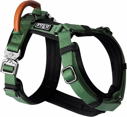 MADE TO ROAM Premium Explorer Harness - Y-Shaped Dog Harness with Adjustable Durable Nylon, Soft Padding, Metal Buckles and Leather Handle for Small, Medium, Large Dogs (Oregon Haze, Size 1)