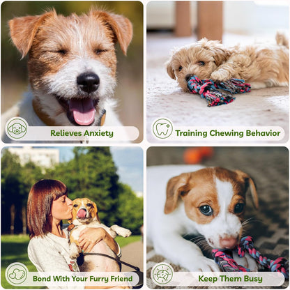 SHARLOVY Puppy Rope Toy, Dog Rope Toy for Small Dogs, Puppy Teething Toys, Cotton Interactive Tug of War Dog Toy for Puppies Boredom, Dog Chew Toys for Aggressive Chewers Small Breed