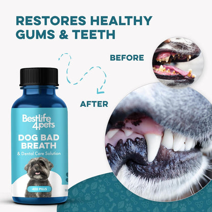 Dog Bad Breath Treatment & Dog Dental Care Solution, Natural Supplement for Canine Oral Health, Canine Tooth Pain Relief, Plaque Control, Gum Disease, Gingivitis, 400 Odorless, Tasteless Pills