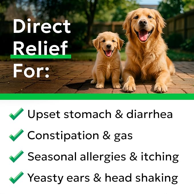 Bark&Spark Dog Probiotics & Digestive Enzymes (Gut Health) Allergy & Itchy Skin - Pet Diarrhea Gas Treatment Upset Stomach Relief Pill, Digestion Health Tummy Treat (180Ct Bacon)