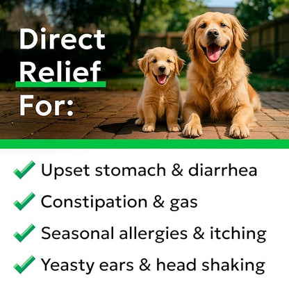 Bark&Spark Dog Probiotics & Digestive Enzymes (Gut Health) Allergy & Itchy Skin - Pet Diarrhea Gas Treatment Upset Stomach Relief Pill, Digestion Health Tummy Treat (180Ct Bacon)