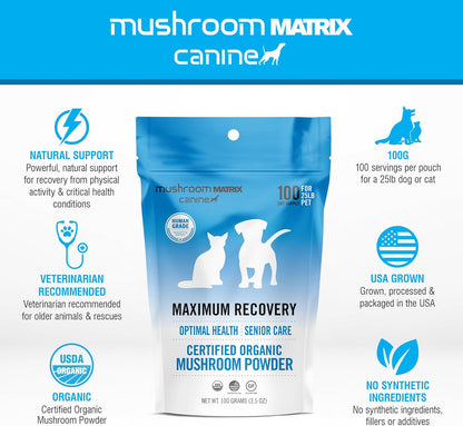Om Mushroom Matrix Pet - Canine | Maximum Recovery | USA Grown Human-Grade Organic Mushroom Powder Pet Supplement | Optimal Health & Senior Care for Dogs & Cats | 100 Grams, 3.5 oz