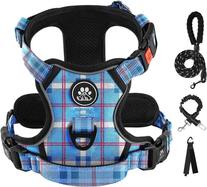 IVY&LANE No Pull Dog Harness with Leash Set, Reflective No Choke Pet Vest,Adjustable Oxford Dog Vest Harness with Easy Control Handle for Small Dogs (Checkered Blue,S)