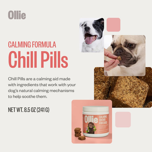 Ollie Chill Pills Calming Supplement Chews for Dogs, Anxiety Relief for Dogs, Melatonin for Stress Relief, 60 Count Appx.