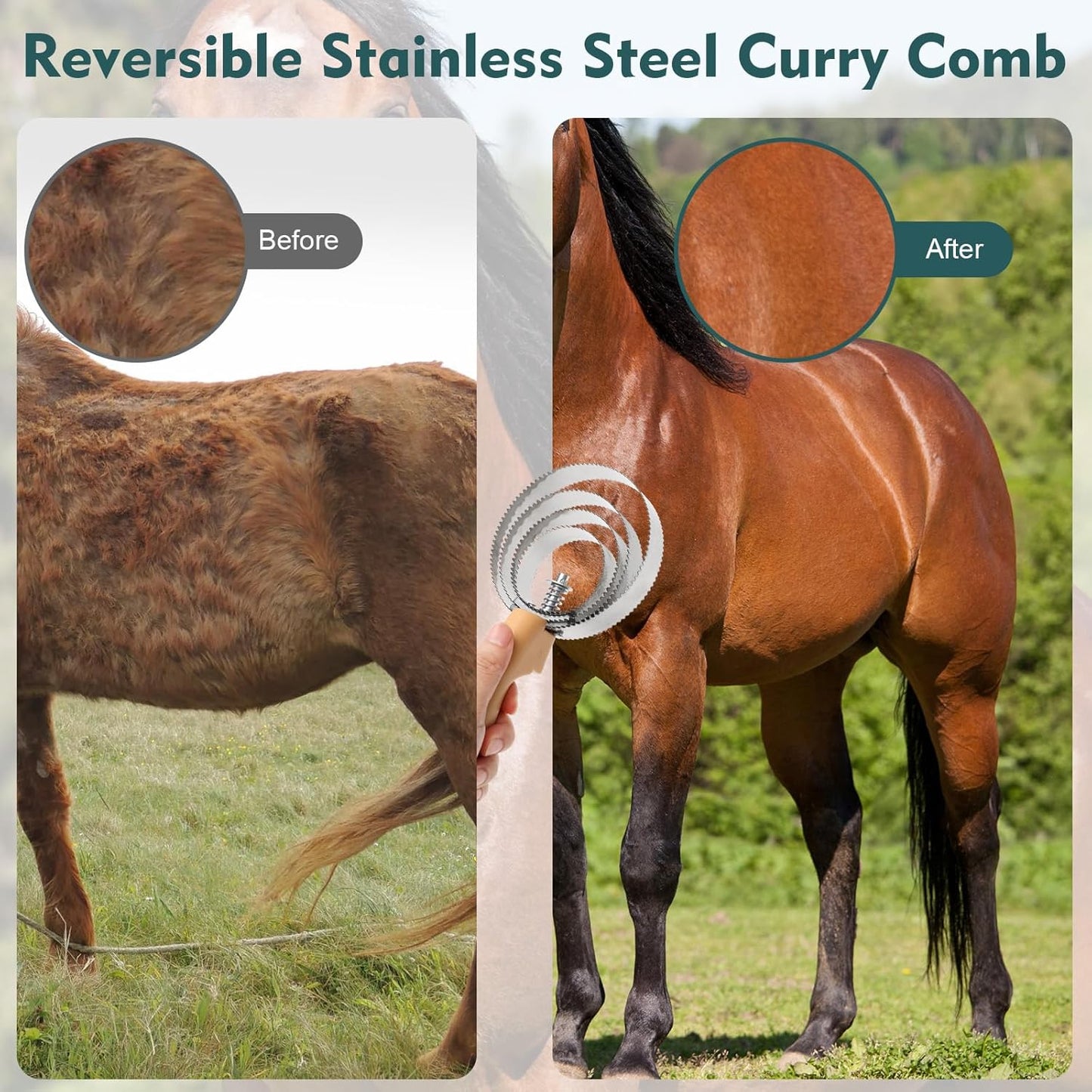 Horse Grooming Kit for Bathing, 13Pcs Horse-Brush Set with Mesh Bag, Shower Brushes, Braiding and Curry Comb, Sweat Scraper, Hoof Pick, Shedding Massaging Tool Supplies for Riders Beginners