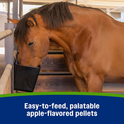 Farnam Apple Elite Electrolyte Supplement for Horses, Replaces Vital Minerals, Encourages Hydration, No Added Sugar, 7.5 lb, 40 Day Supply