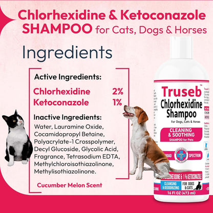 Truseb Topical Ketoconazole and Chlorhexidine Shampoo for Dogs, Cats, and Horses with Aloe - 16 oz (Ketoconazole & Chlorhexidine Shampoo, 16 oz)