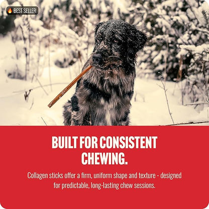 Natural Farm Collagen Dog Chews (12 Inch, 5 Pack), Odor-Free Long Lasting Bully Sticks & Rawhide Alternative Dog Treats, 95% Collagen Low Fat, High Protein – Medium & Large Dogs