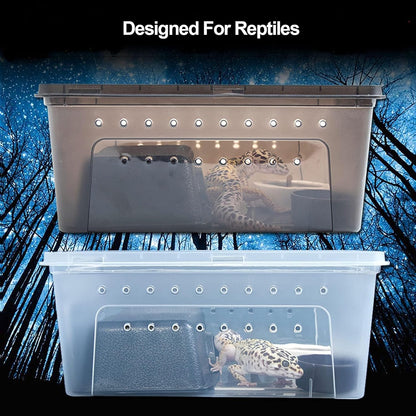 kathson Reptile Snake Feeding Box Breeding Hatching Container Lizard Tarantula Habitat Portable Transparent Plastic Mini Pet Houses for Spider Scorpion Gecko (White)