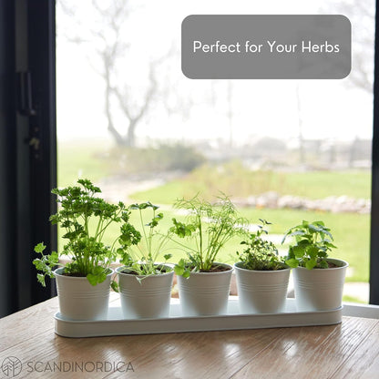 SCANDINORDICA White Herb Planter 5 Pots with Drainage Holes and Tray, Windowsill Planter, Indoor/Outdoor Herb Pots