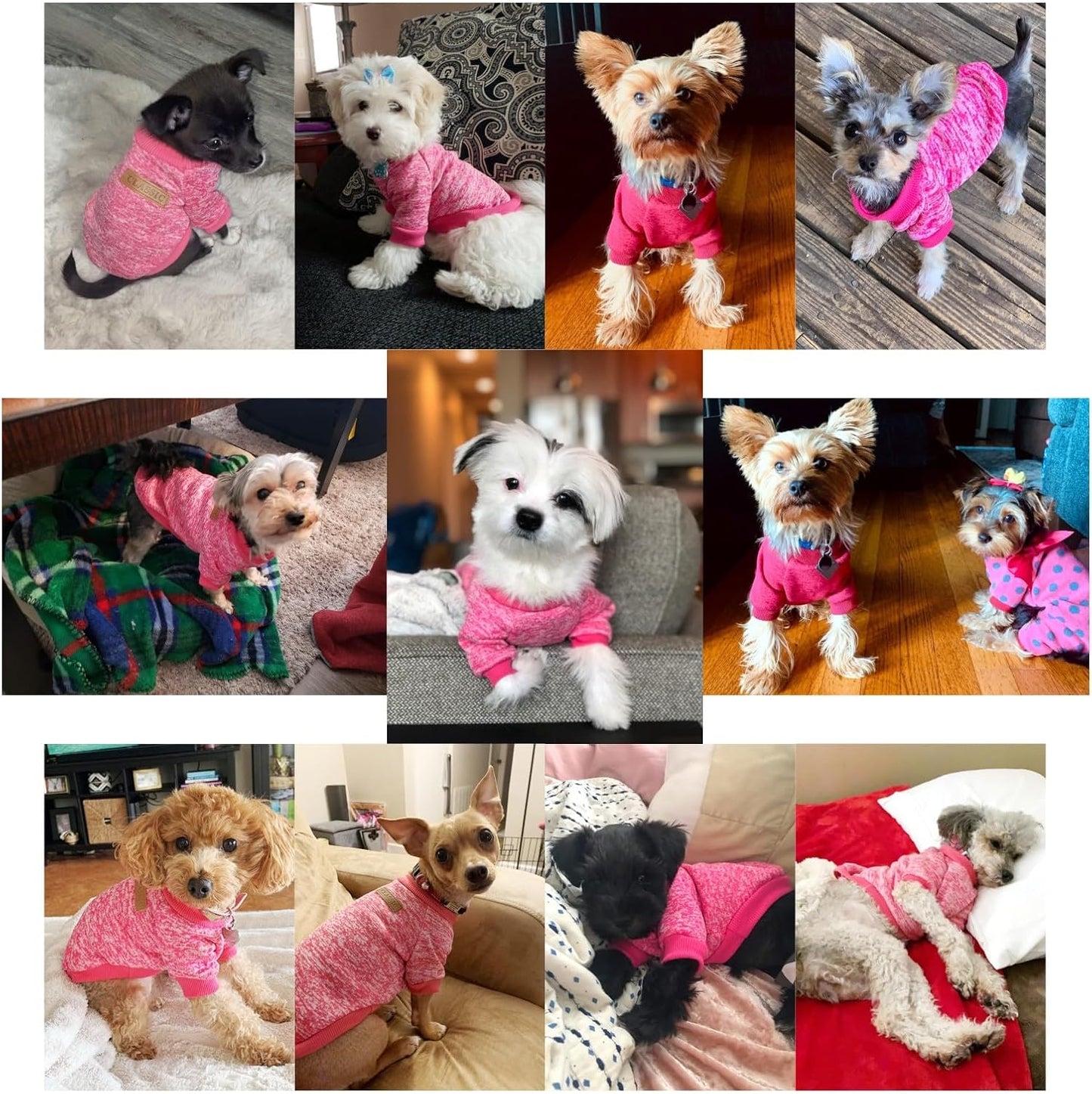 Jecikelon Dog Clothes Dogs Sweater Soft Puppies Clothing Winter Puppy Sweaters Warm Outfit for Dogs Small XXS XS Cat Apparel (X-Large, Rose)