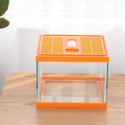 crapelles Reptile Terrarium kit Color Orange Spider Container Tarantula Box cage Gecko Habitat Insect Enclosure pet Tank Frog Carrier Tortoise Snail Container Hermit Crab House Cricket breeding