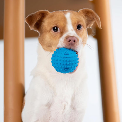 Best Pet Supplies Interactive Squeaky Dog Chew Toy, Ideal Dog Toys for Chewers, Small, Medium & Large Dogs, and Fetch Lovers - Spiky Ball (Blue, Orange), Medium 2.5"