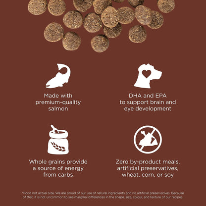 Go! Solutions Skin + Coat Care, Dry Dog Food, Large Breed Puppy Salmon Recipe with Grains, 25 lb Bag