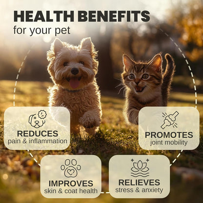 Billion Pets - Hemp Oil for Dogs and Cats - Helps with Anxiety, Pain, Stress, Sleep, Arthritis, Seizures Relief - Hip and Joint Support - Calming Drops