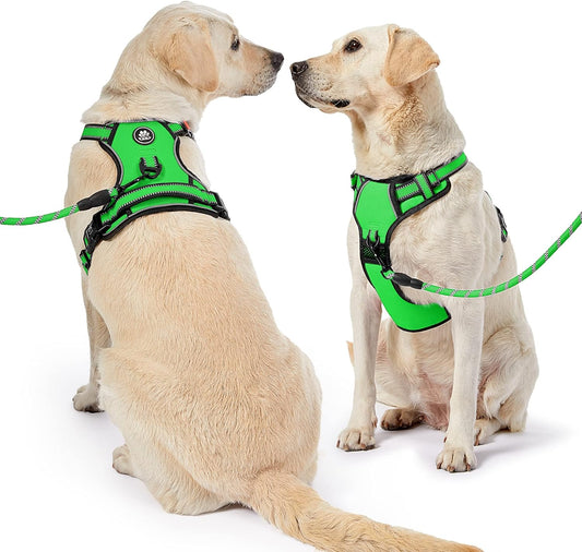 NESTROAD No Pull Dog Harness,Adjustable Oxford Dog Vest Harness with Leash,Reflective No-Choke Pet Harness with Easy Control Soft Handle for Large Dogs(Large,FluorescentGreen)