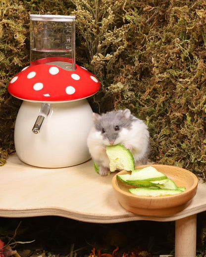 Niteangel Hamster Snack & Treats Toy - Small Animal Natural Treat for Dwarf Syrian Robo Hamsters Gerbils Mice Lemmings Degus or Other Small-Sized Pets