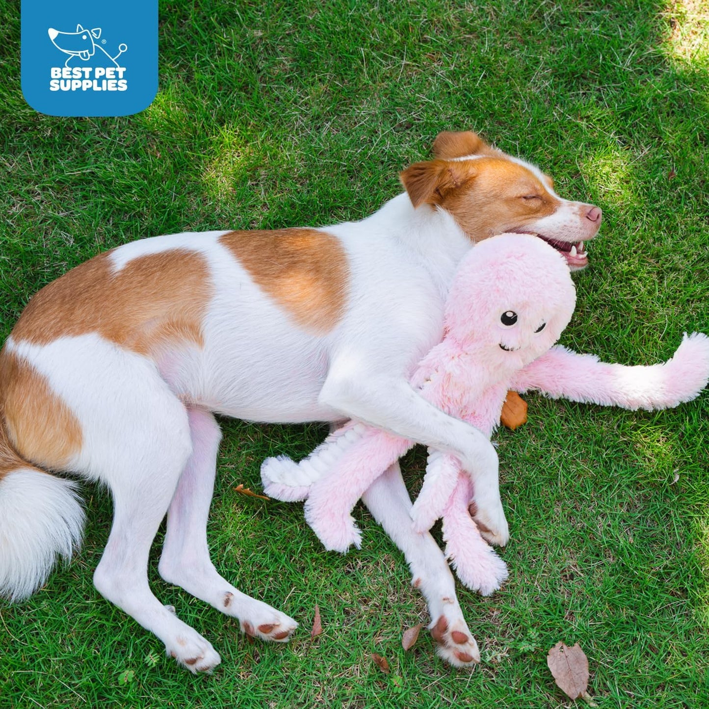 Best Pet Supplies Interactive Squeaky Dog Chew Toy, Ideal Dog Toys for Chewers, Small, Medium & Large Dogs, and Fetch Lovers - Octomutant (Pink), Large