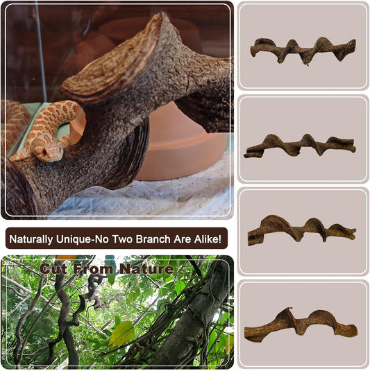 BNOSDM 2Pcs Reptile Climbing Branches Decor,Snake Climbing Branch,Gecko Climb Wood,Lizard Forest Branch,Tank Habitat Tree Trunk Decorations for Bearded Dragons,Chameleons,Spider,Frogs (L)