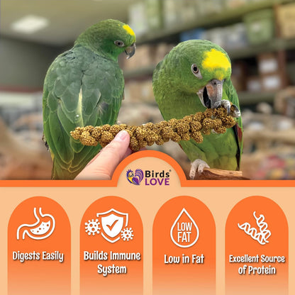 Birds LOVE Wholesome & Lovely Spray Millet | GMO Free (No Stems Only Edible Tops) for Parrots Birds Cockatiel Lovebird Parakeet Finch Canary All Parrots Healthy Treat -25lbs