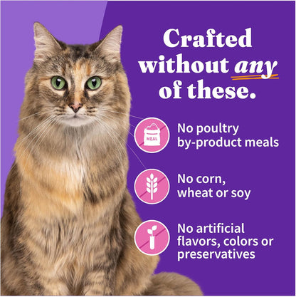 Halo Wet Cat Food Whole Turkey Stew Recipe, Grain Free Wet Cat Pate, Canned Cat Food for Extra Hydration, 5.5 Oz Can (Pack of 12)