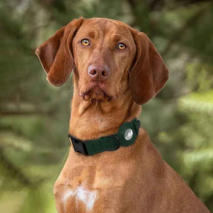 AirTag Dog Collar with Metal Buckle - Printed Nylon Soft Leather Dog Collar with Apple AirTag Holder - Secure Tracking GPS Pet Collars for Girl Boy Small Large Dogs (XS, 9"-12" Neck Fit, Striped)