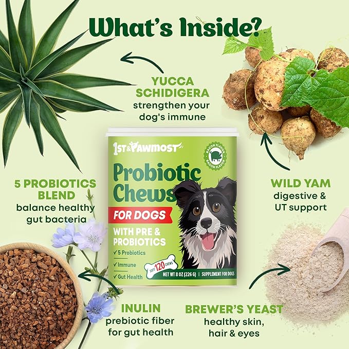 Dog Probiotic Chews Gut Health & Digestive Function Support Anti Diarrhea Upset Stomach & Gas Relief Yeast Balance Allergies & Itching Prebiotic Supplement Chews - 120 pcs
