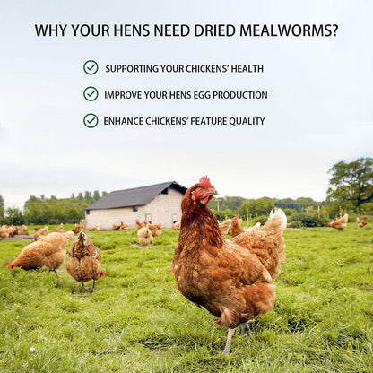Dried Mealworms 5LB Pure Natural Non-GMO Mealworms for Chickens High Protein Chickens Feed Meal Worms for Laying Hens Wild Birds