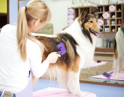 Hertzko Pet Bath & Massage Brush Great Grooming Comb for Shampooing and Massaging Dogs, Cats, Small Animals with Short or Long Hair - Soft Rubber Bristles Gently Removes Loose & Shed Fur